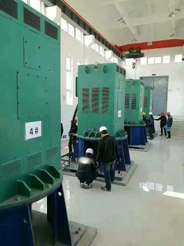 延津某污水处理厂使用我厂的立式高压电机安装现场