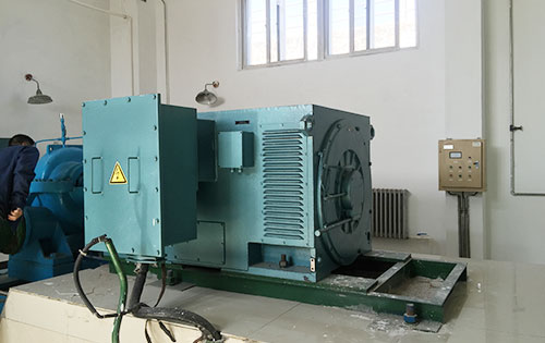 延津某水电站工程主水泵使用我公司高压电机